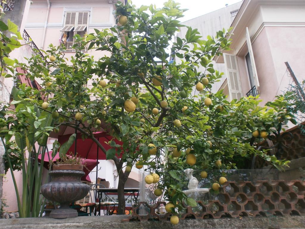 Villa Saphir Nizza Exterior foto